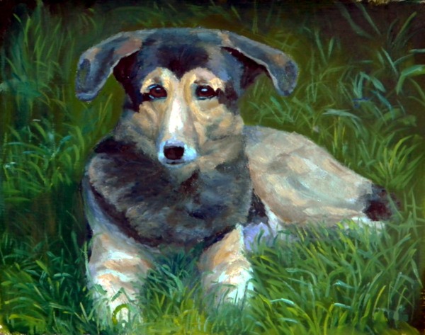 рекс