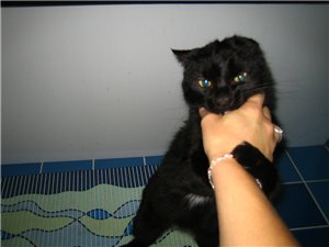 опять я тут со своим Козюльским - 2