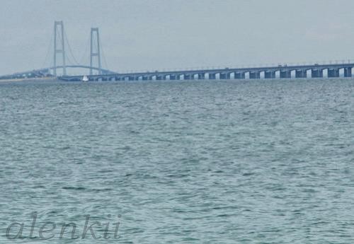 Подъехали ближе к морю - 2