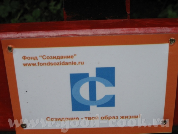 В парке "Сокольники" сегодня вот такое чудо: жасмин грибочек: красотка-утка Белоснежка: А теперь ро... - 8