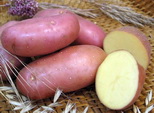 картофель
