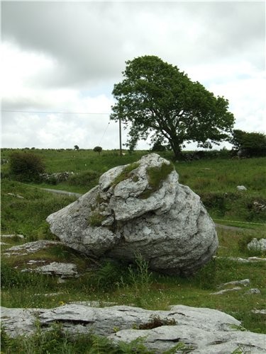 T Poulnabrone Megalithic Tomb - 4