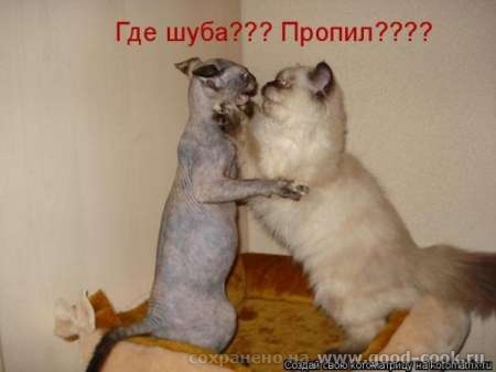 НУ ВСЁ - 2