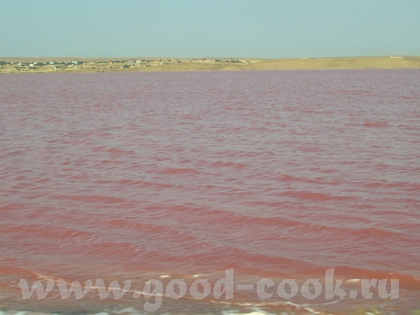 Это не фотошоп,а реальное красное солёное озеро в пригороде Баку я видела его белым,зелёным,синим,ф...