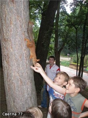 Белочек кормили все, в последний день даже Ариша - 2