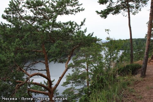 А тут просто без комментариев ………