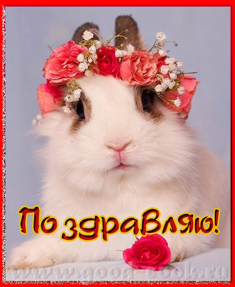 Магдочка, дорогая