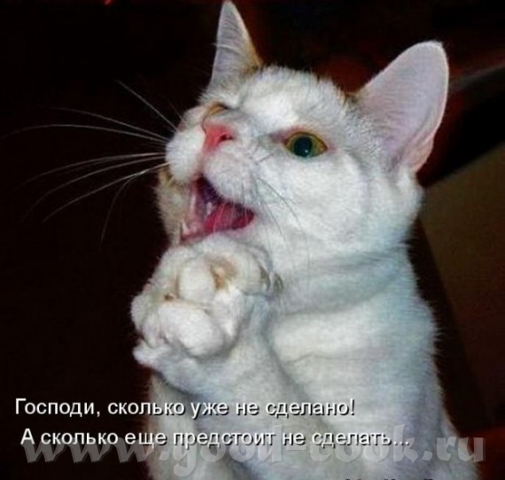 как много хочется