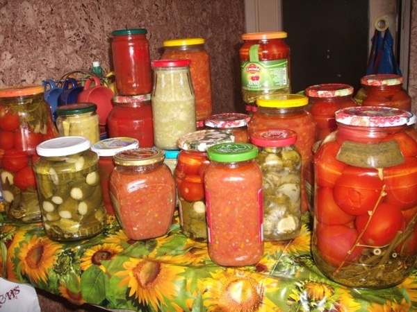 Зимой хомяк будет счастлив