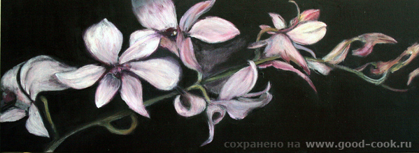 цветы