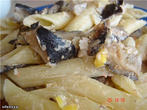 Jazzinitup-,     ,      ...