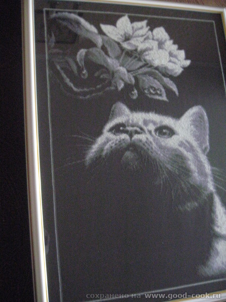 КОТ С МАГНОЛИЕЙ