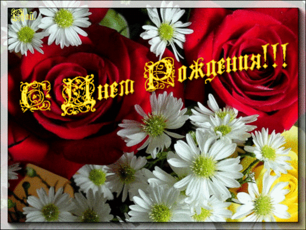цветы
