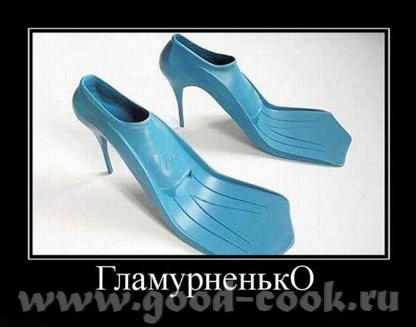 Коты пошли