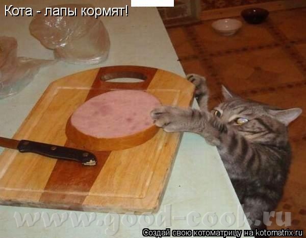 а девочка наша русская или инностранка Наша девочка,русская