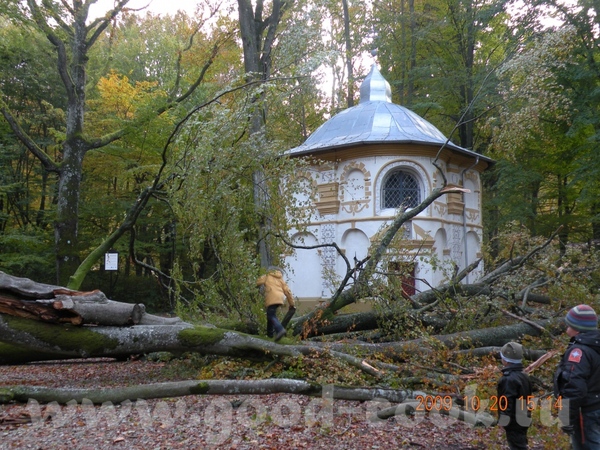 Девочки фотки замечательные