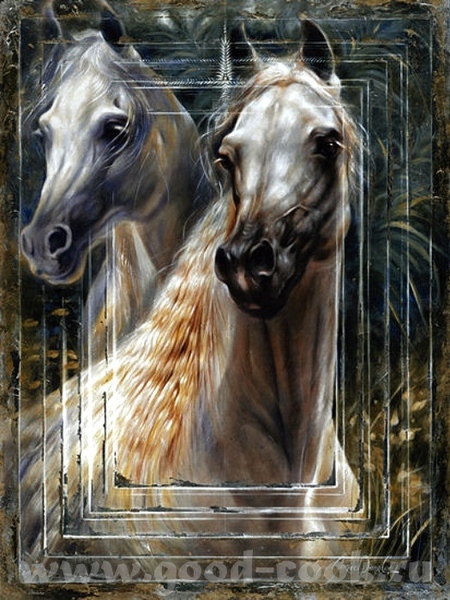 Балетки, батинки, кони - 6