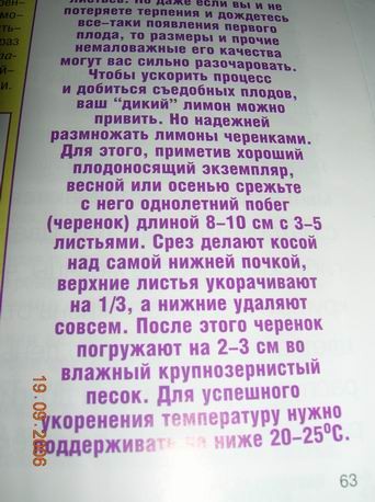 Девочки