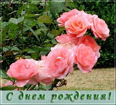 Наталья, поздравляю с днем рождения