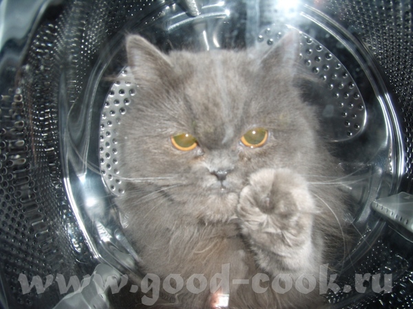 Танюш, держись , родная - 2