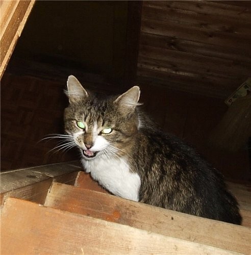 Не вышло Сейчас опять