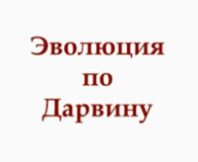 ну знаешь