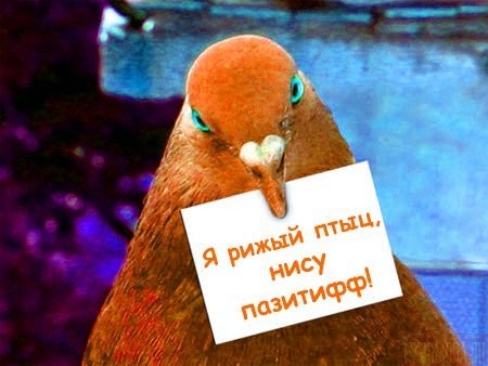 А вот ты открытку новогоднюю зажилила - бе-бе - 3