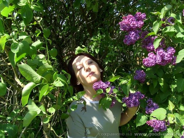 сирень
