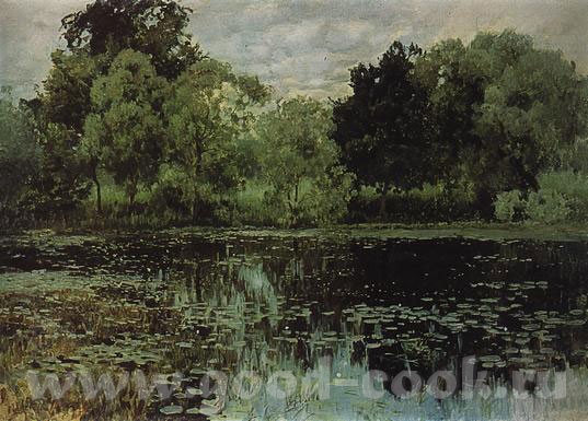 Отличные соняшники