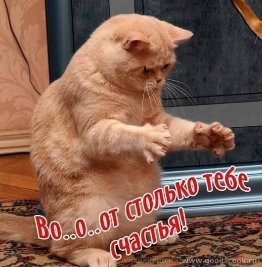 С днюхой!