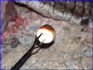 это marshmallow, как и сказала, это нечто похожее на зефир, только более "резиновой консистенции" в...