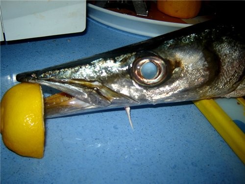 Доброй ночи, хозяюшки - 2