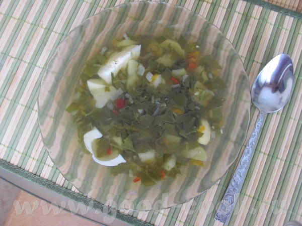 Щи из щавеля Бефстроганов