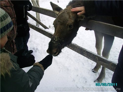 Новое путешествие - Кострома - 6