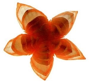 Лилия из лука
