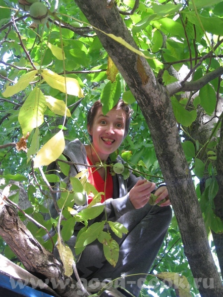      "",   ,       ,  ...