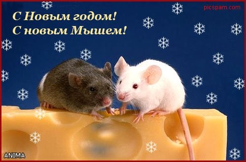 Хозяюшек этой темы и всех её гостей, с наступающим Новым Годом
