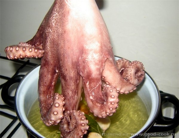 Pulpo еn salsa Осьминог под соусом На 4 порции: 1 кг осьминога, 1 маленькая луковица , 3 средние картофелины, 1-2 лавр... - 6