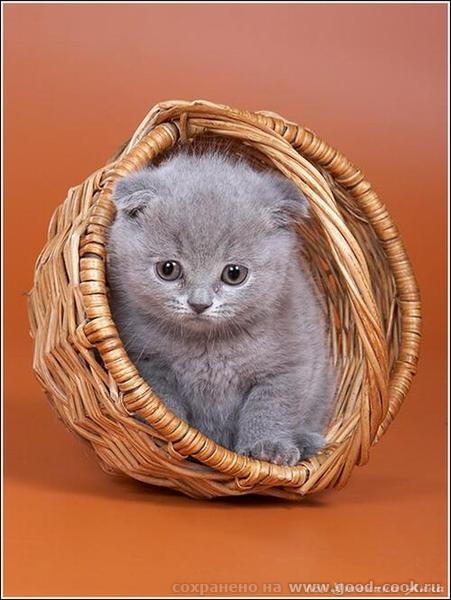 Юлечка, с днем рождения, дорогая