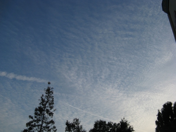 Хочу еше вам показать немного Калифорнийского неба, очень красивого с необычными оттенками синевы - 4