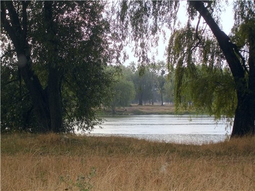 Ой, солнце, ты уже приехала - 2