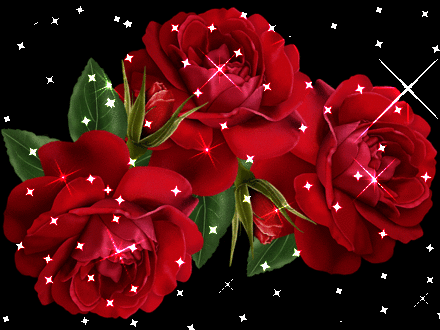 Svetylja, sveta07, allamanda, ИриСочkа, Дениска, vikras67, Yuli, Мулечка, olya83 С ДНЕМ РОЖДЕНИЯ