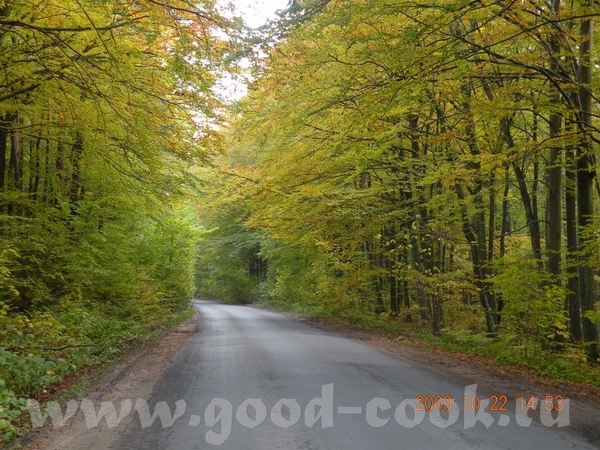 Девочки спасибко