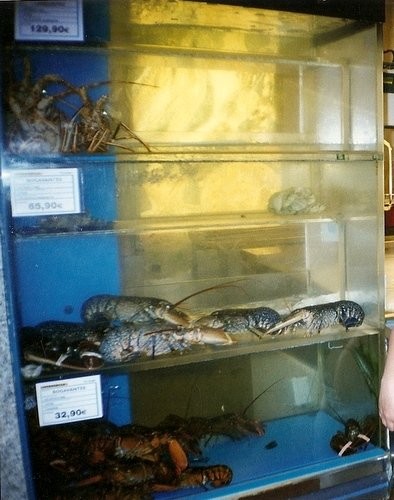 твои очень даже красавцы
