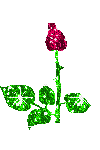 Светик - 2
