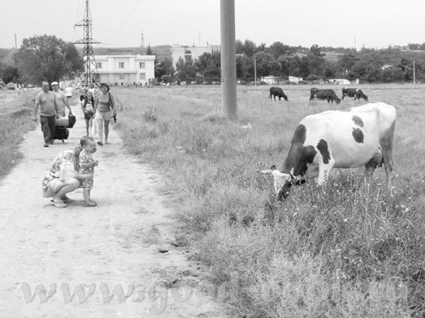 Ну вот,разреблась немного,могу показать немного фоток - 5