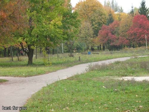 Вот несколько ещё фотографий с парка у нашего дома - 6