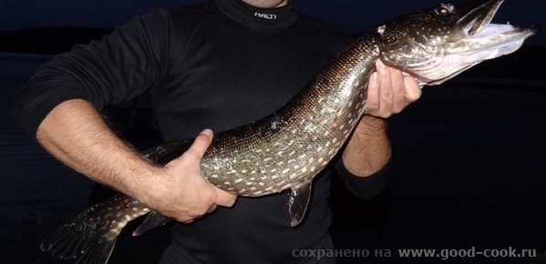 рыба
