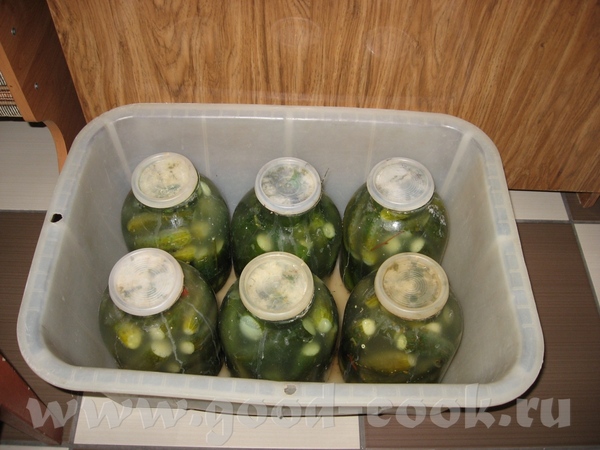 ,          ,   ,  - ...