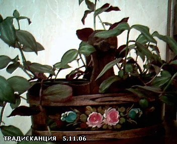 малыши еще совсем